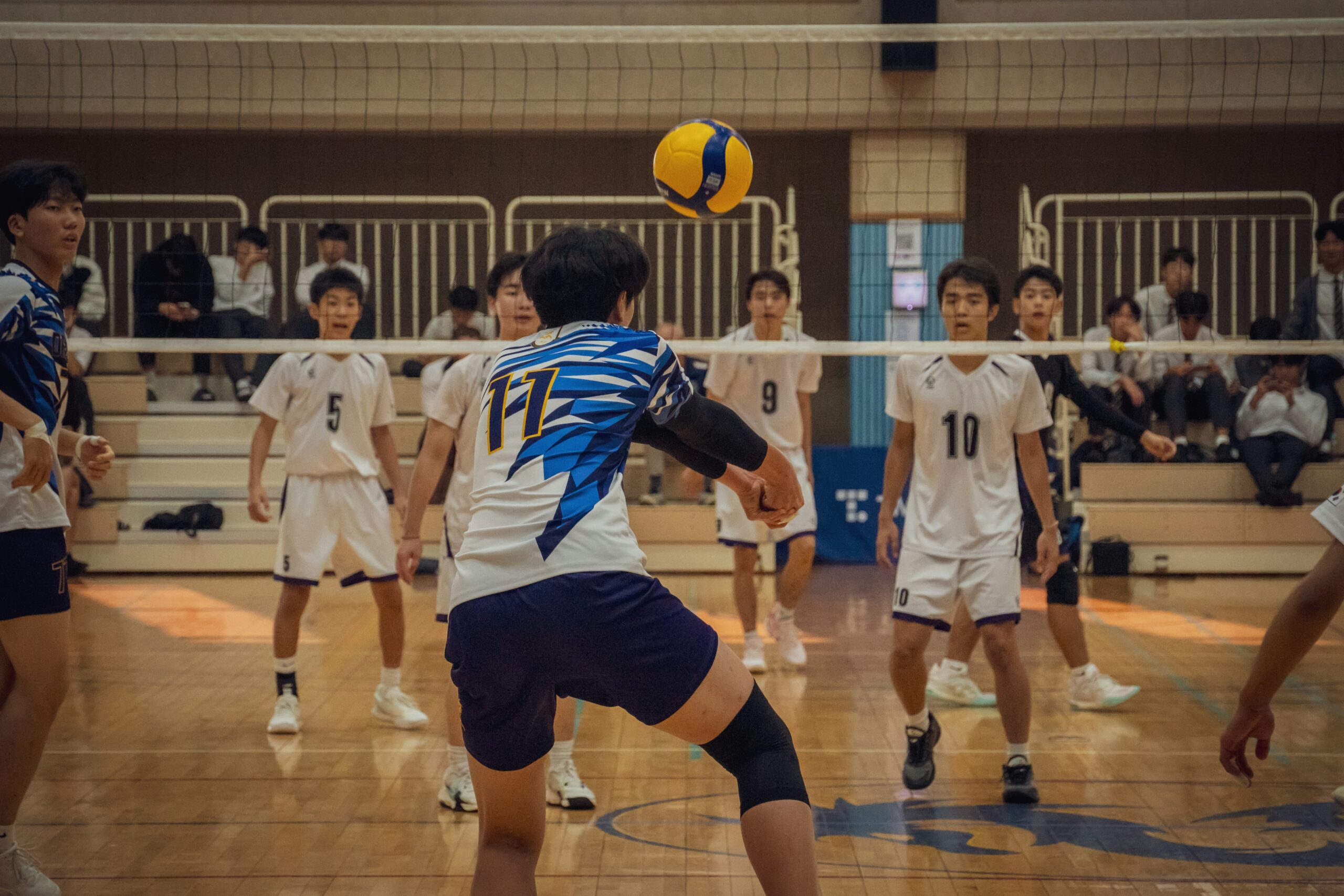 Volleyball on a sports court